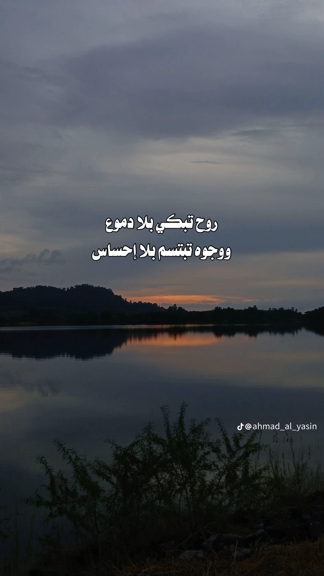 الواثق إبراهيم