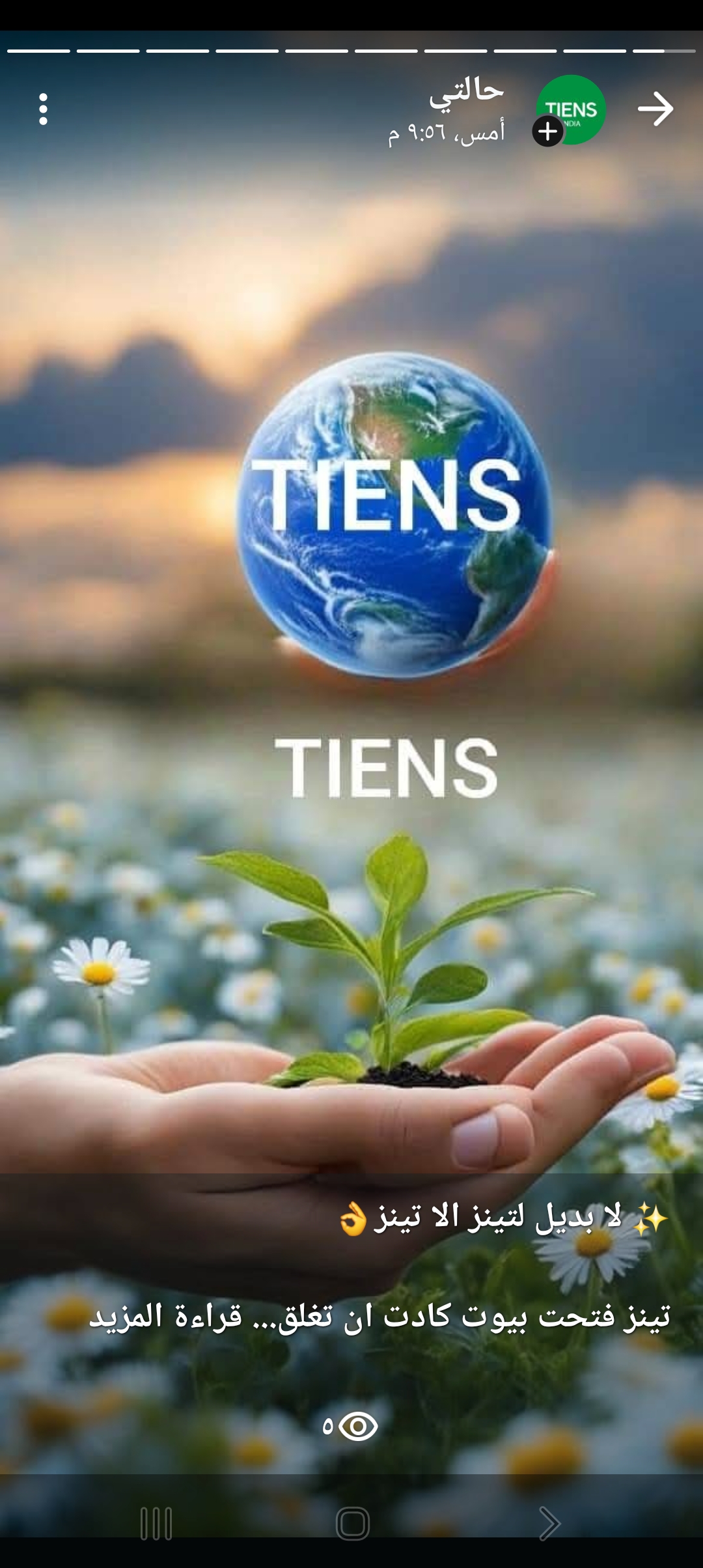 شركة تنيز في مجال التسويق